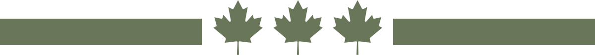 Patriots Of Canada Replatforming Solutions For The Deplatformed